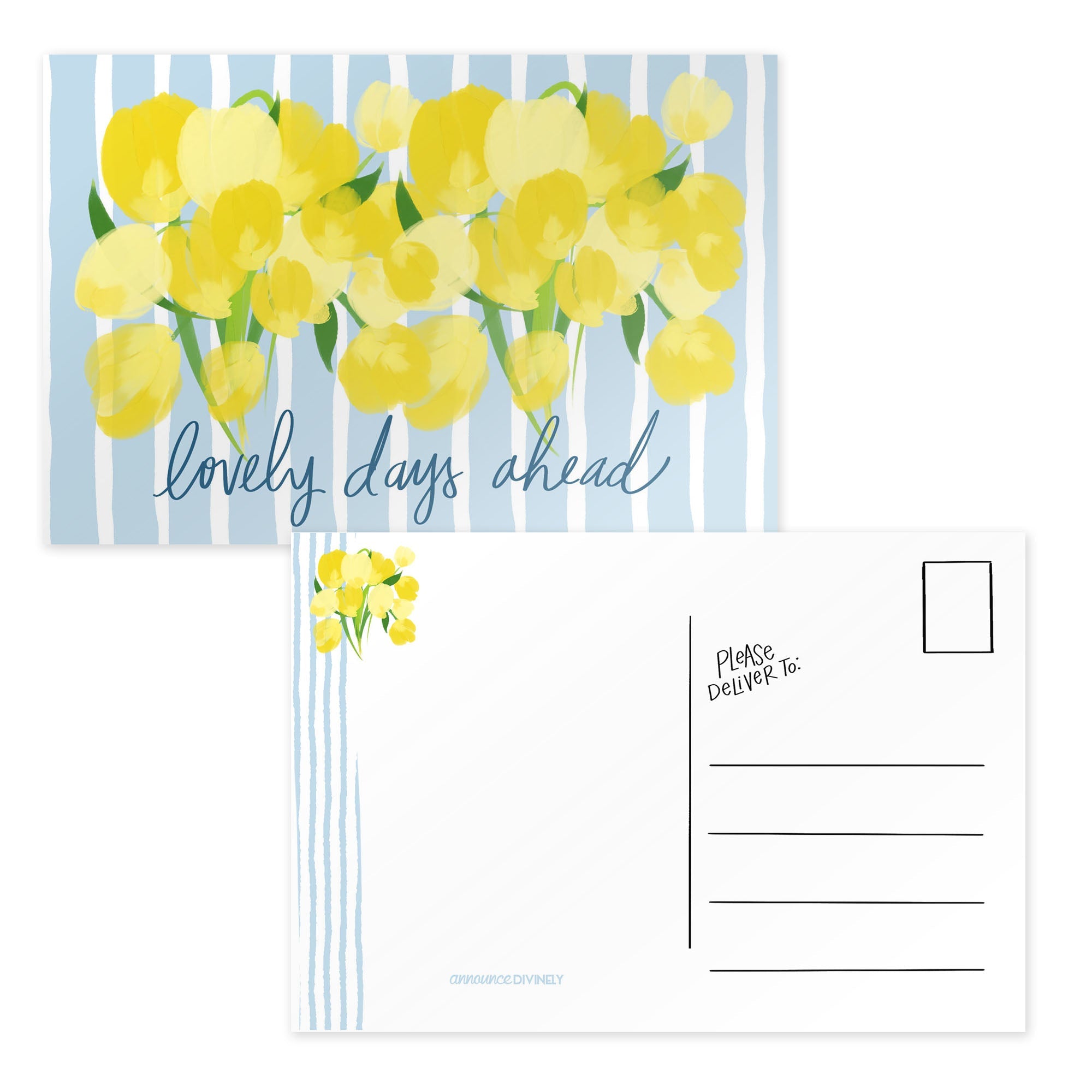 Tulip Days Postcard Set